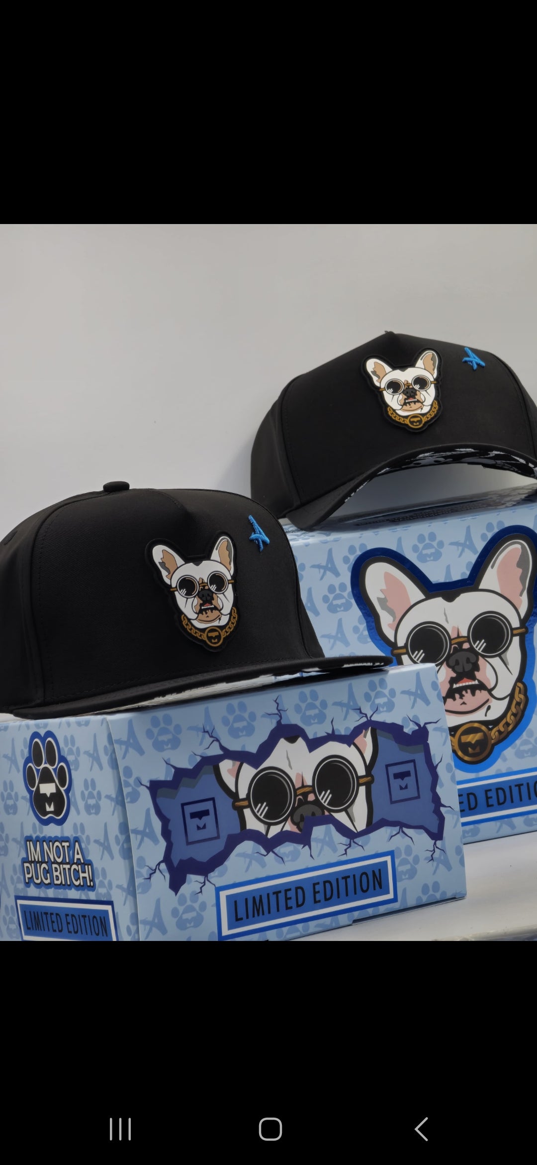 MARKITOS TOY PERRO PUG PLANA