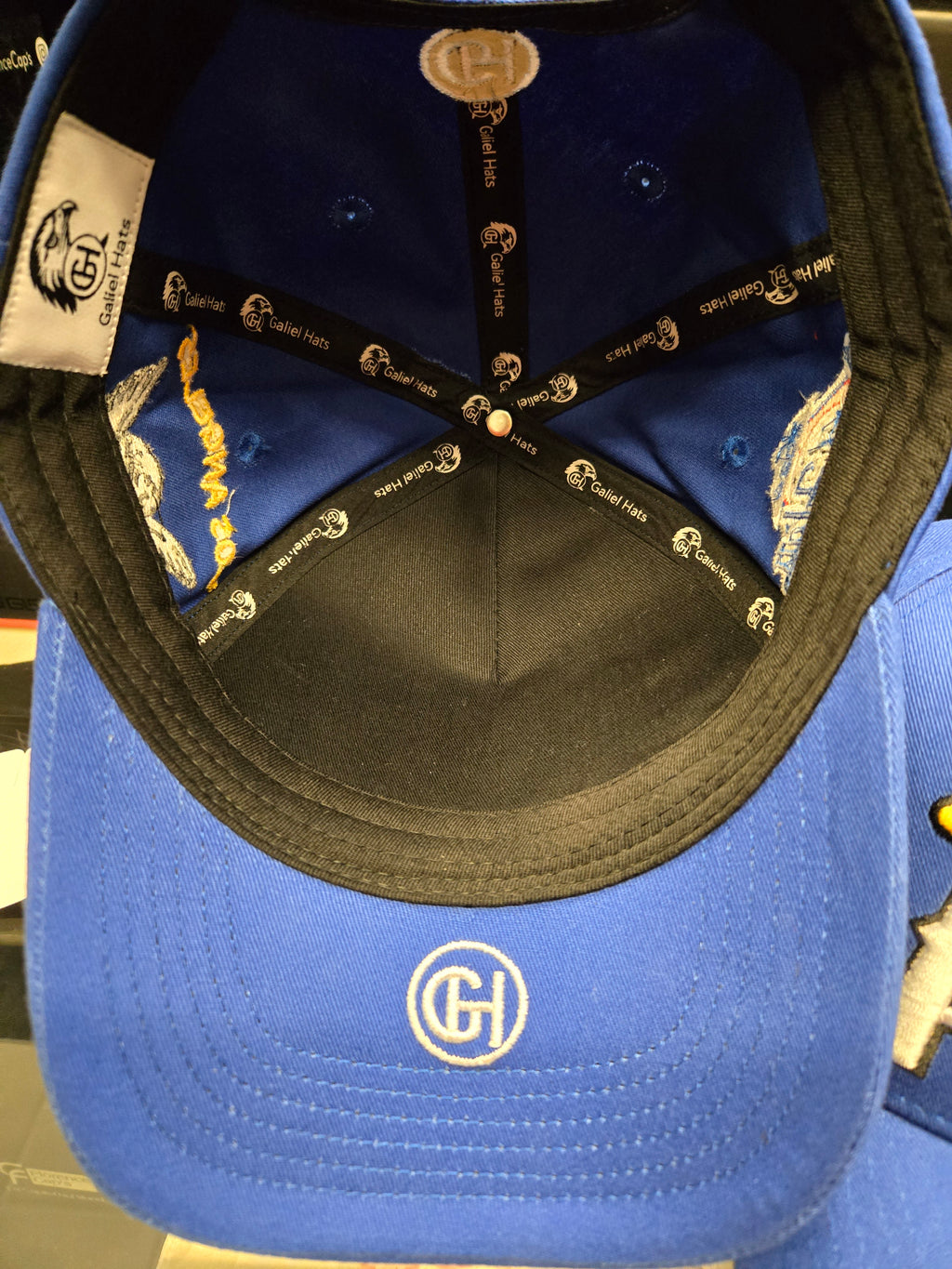 Galiel Ando bien protegido azul