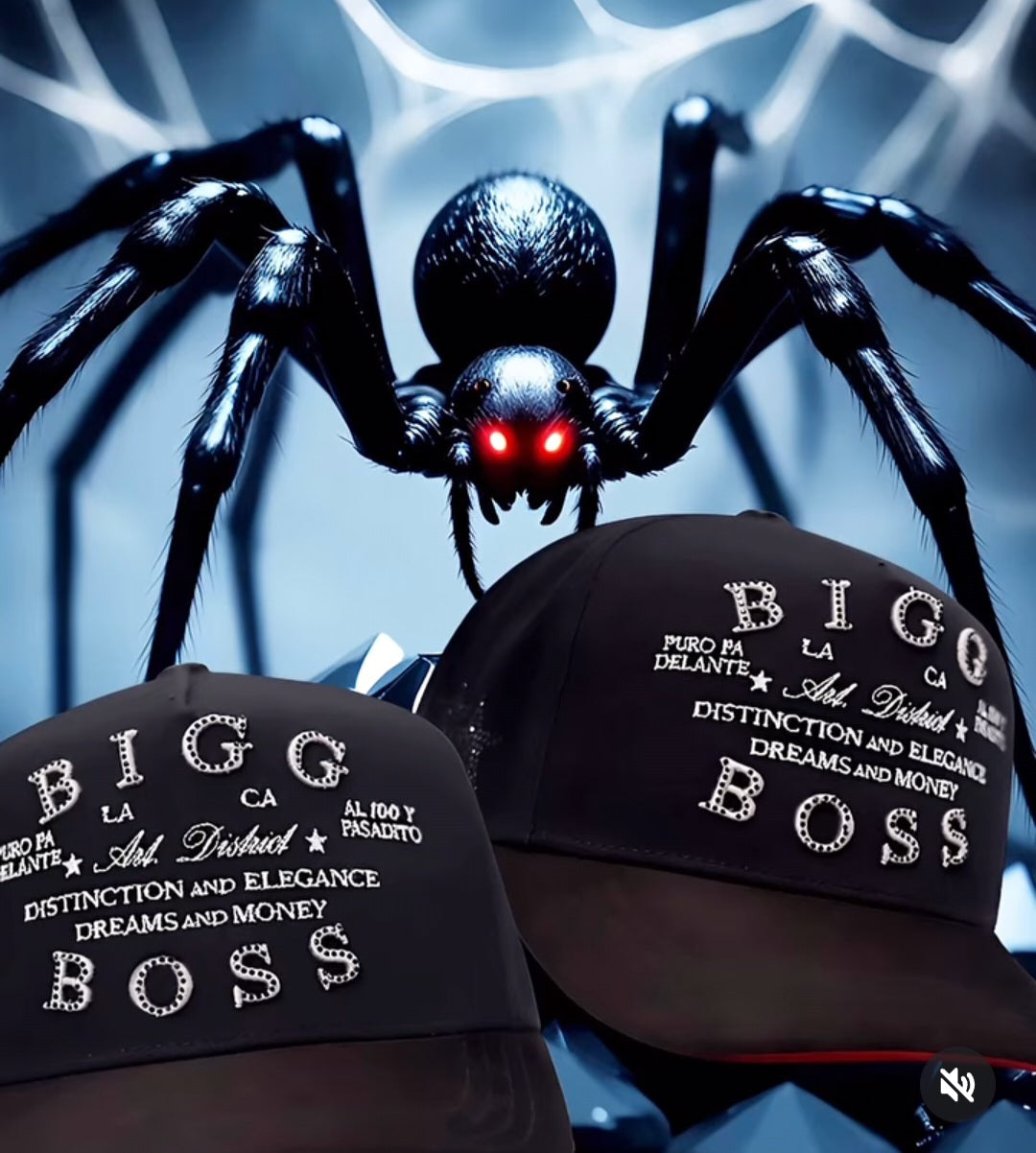 Bigboss DISTRICT