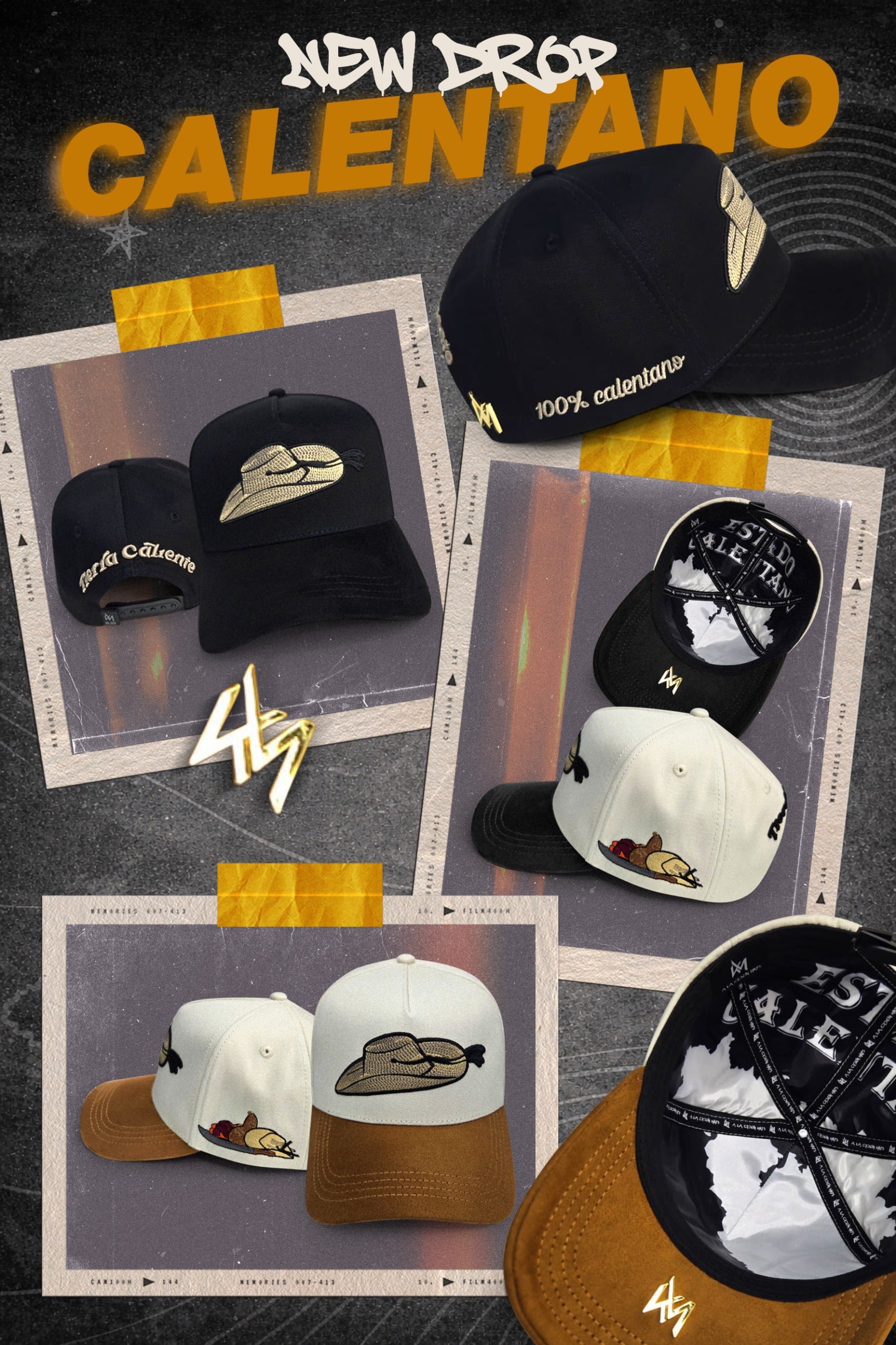 Tierra caliente 3 Modelos